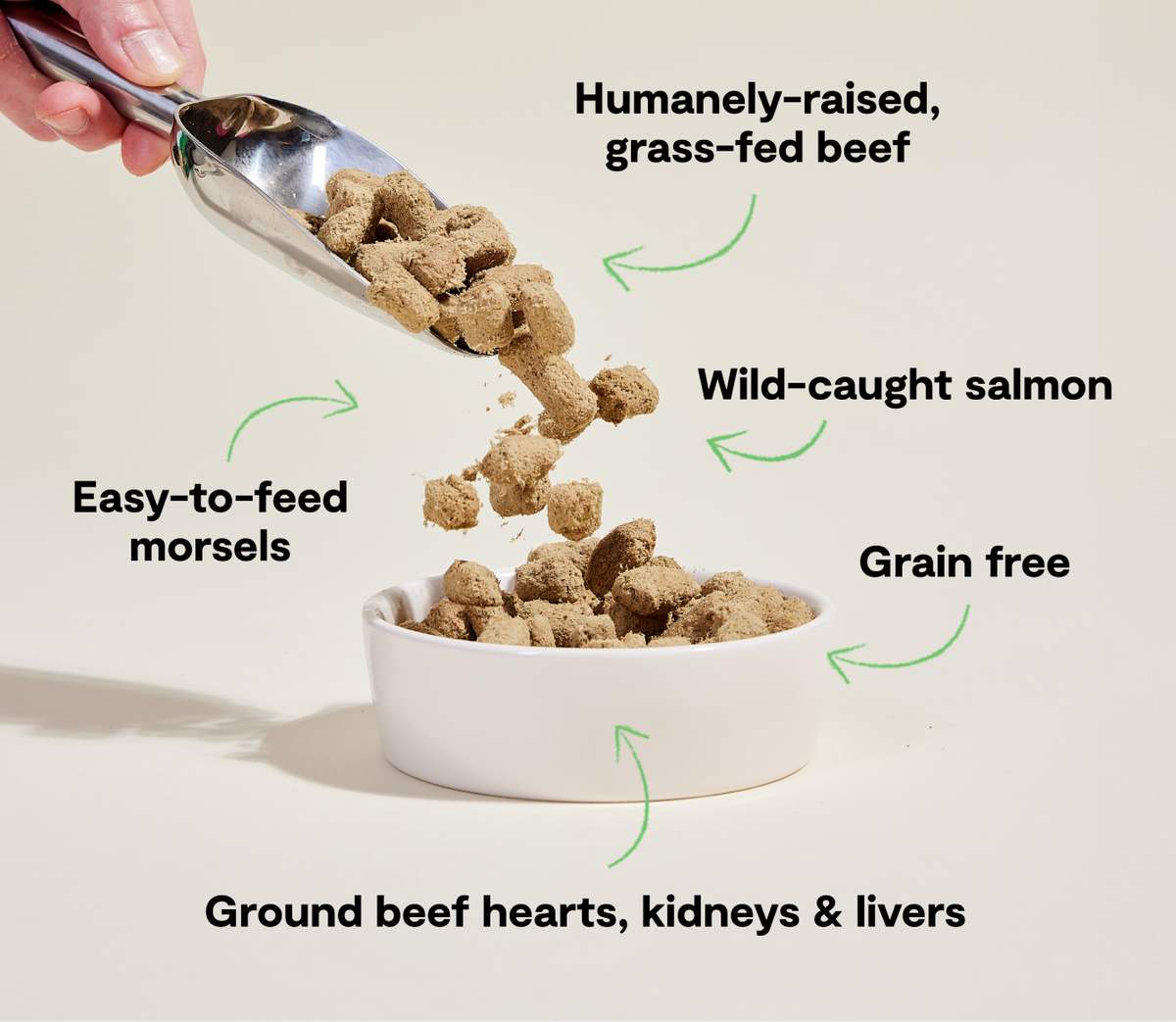 Surf & Turf Freeze-Dried Raw Morsels – Salmon & Beef Grain-Free Dog Food
