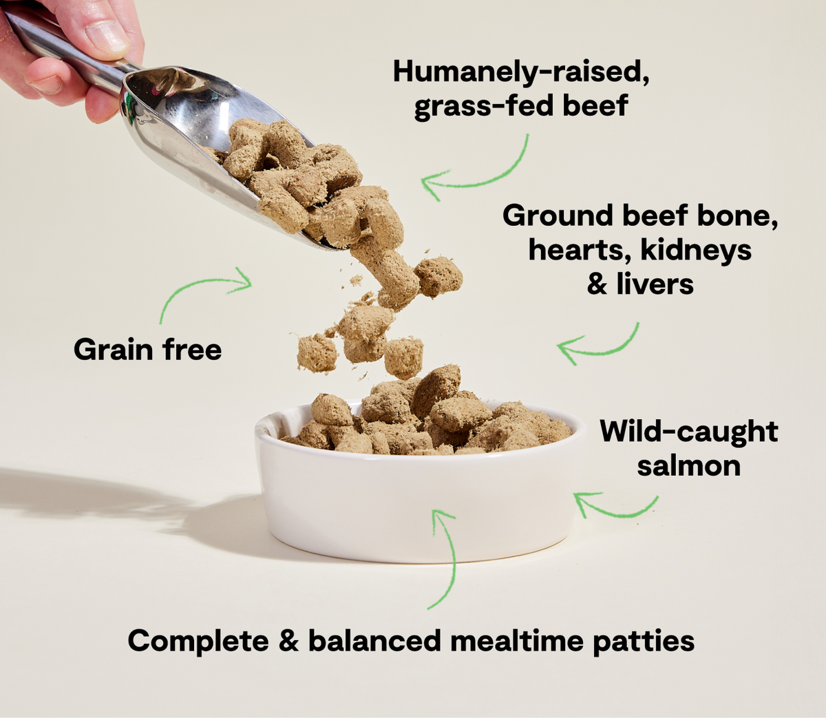95% Salmon & Beef Ocean Wise Freeze-Dried Raw Dog Food Dinner Patties