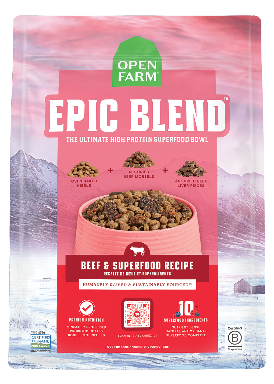 Beef & Superfood Epic Blend Dog Kibble – Probiotic-Coated Air-Dried Bits