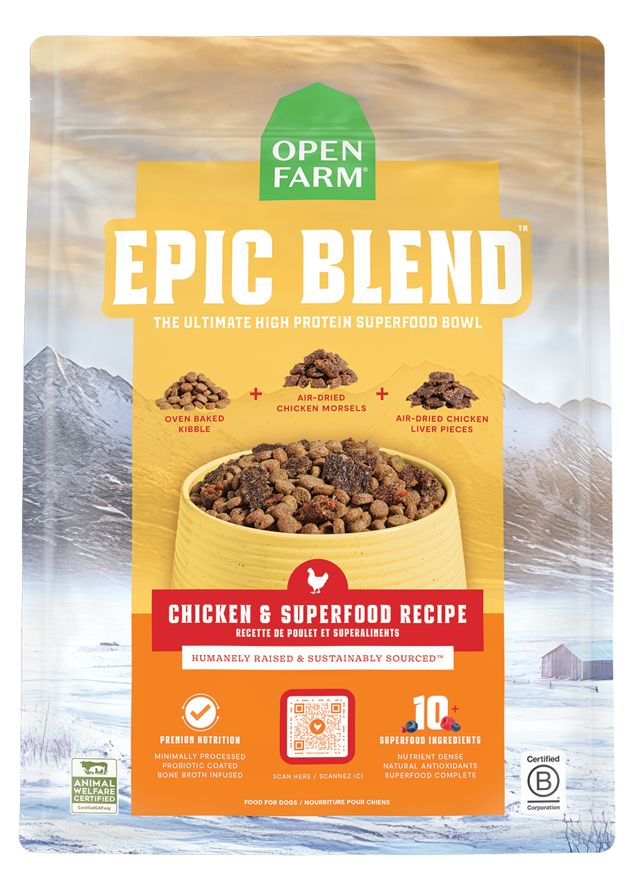 High-Protein Chicken & Superfood Kibble – Probiotic-Coated Dry Dog Food