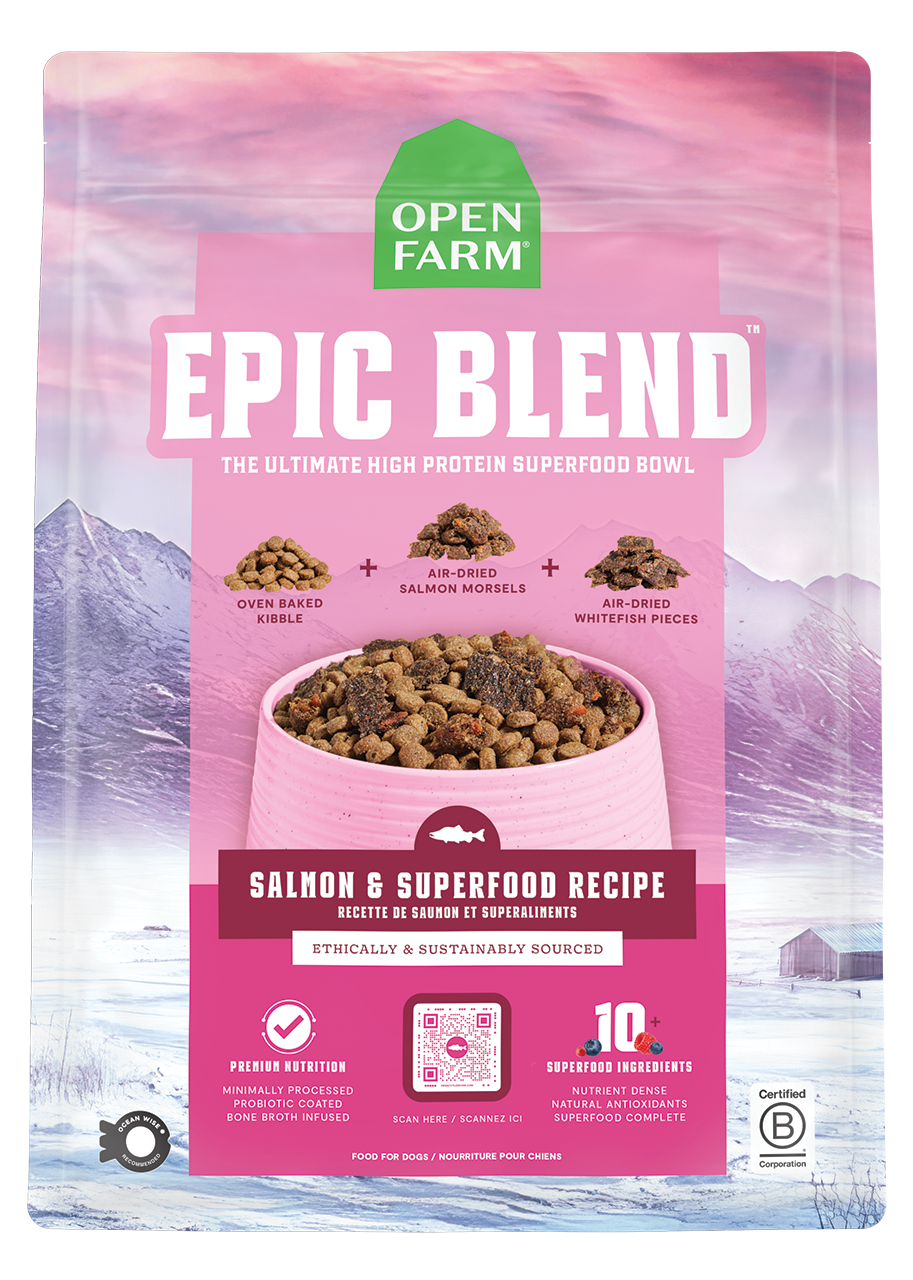 Salmon & Superfood High-Protein Dry Dog Food – Probiotic Kibble Blend
