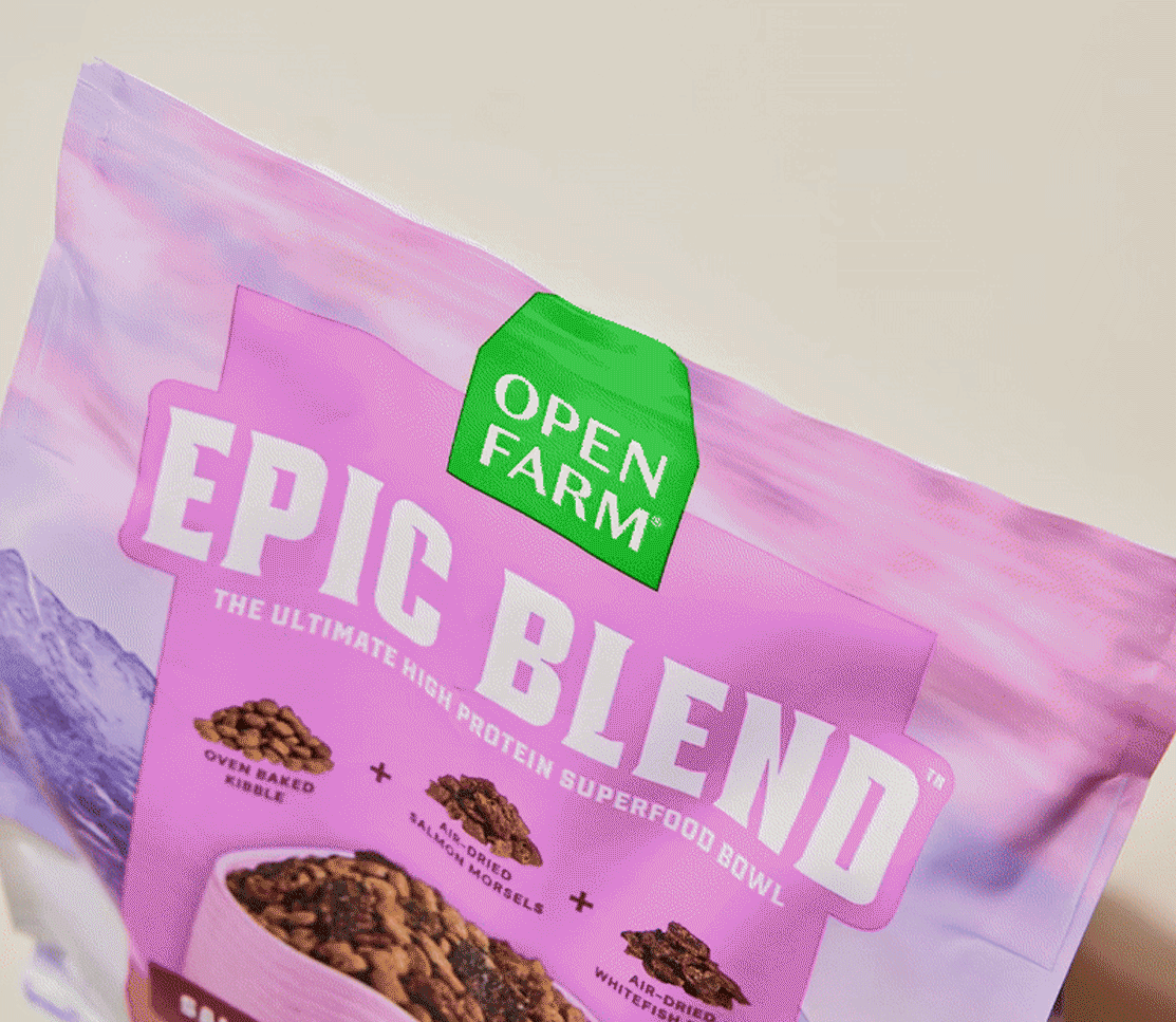 Beef & Superfood Epic Blend Dog Kibble – Probiotic-Coated Air-Dried Bits