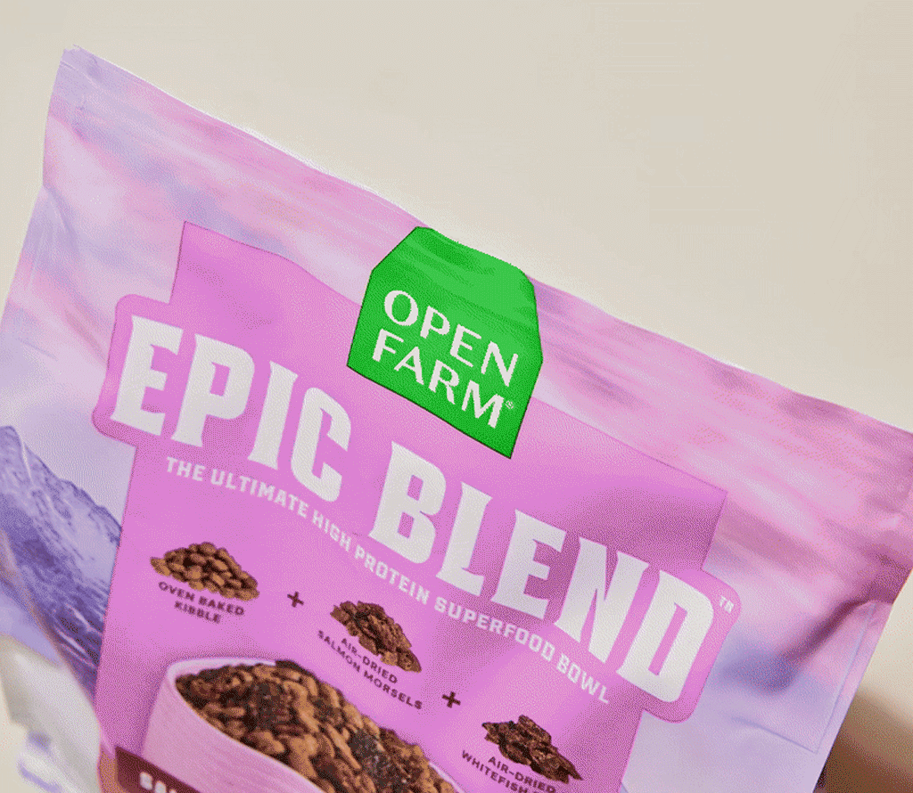 High-Protein Chicken & Superfood Kibble – Probiotic-Coated Dry Dog Food