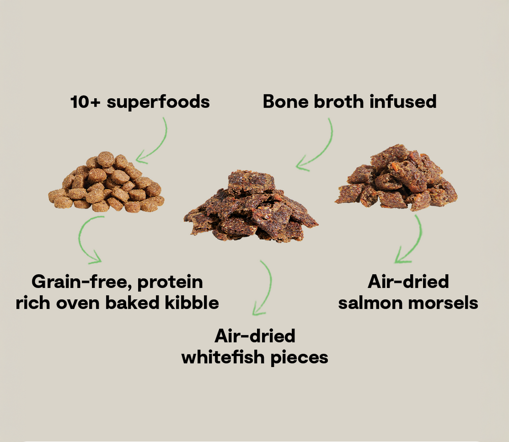 Grain-Free Salmon & Superfood Epic Blend Dog Kibble – Air-Dried Bits