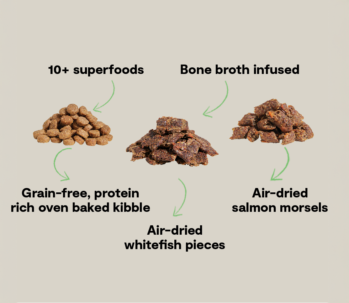 Grain-Free Salmon & Superfood Epic Blend Dog Kibble – Air-Dried Bits