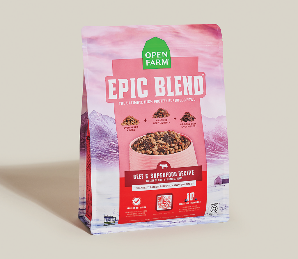 Beef & Superfood Epic Blend Dog Kibble – Probiotic-Coated Air-Dried Bits