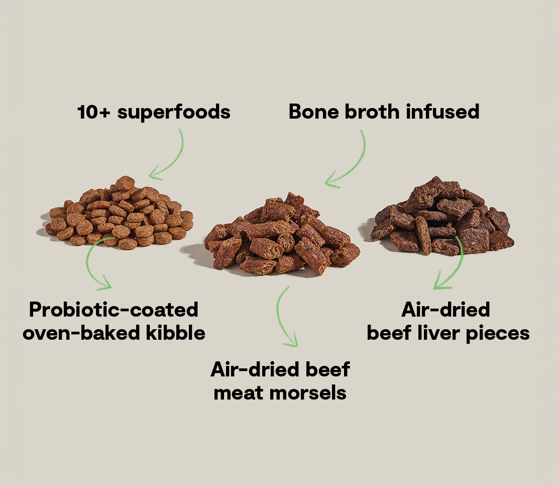 Beef & Superfood Epic Blend Dog Kibble – Probiotic-Coated Air-Dried Bits