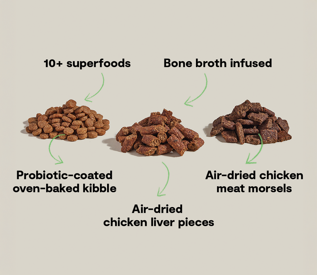 High-Protein Chicken & Superfood Kibble – Probiotic-Coated Dry Dog Food
