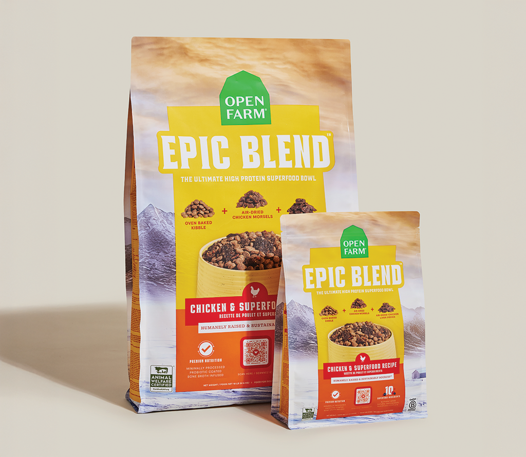 High-Protein Chicken & Superfood Kibble – Probiotic-Coated Dry Dog Food