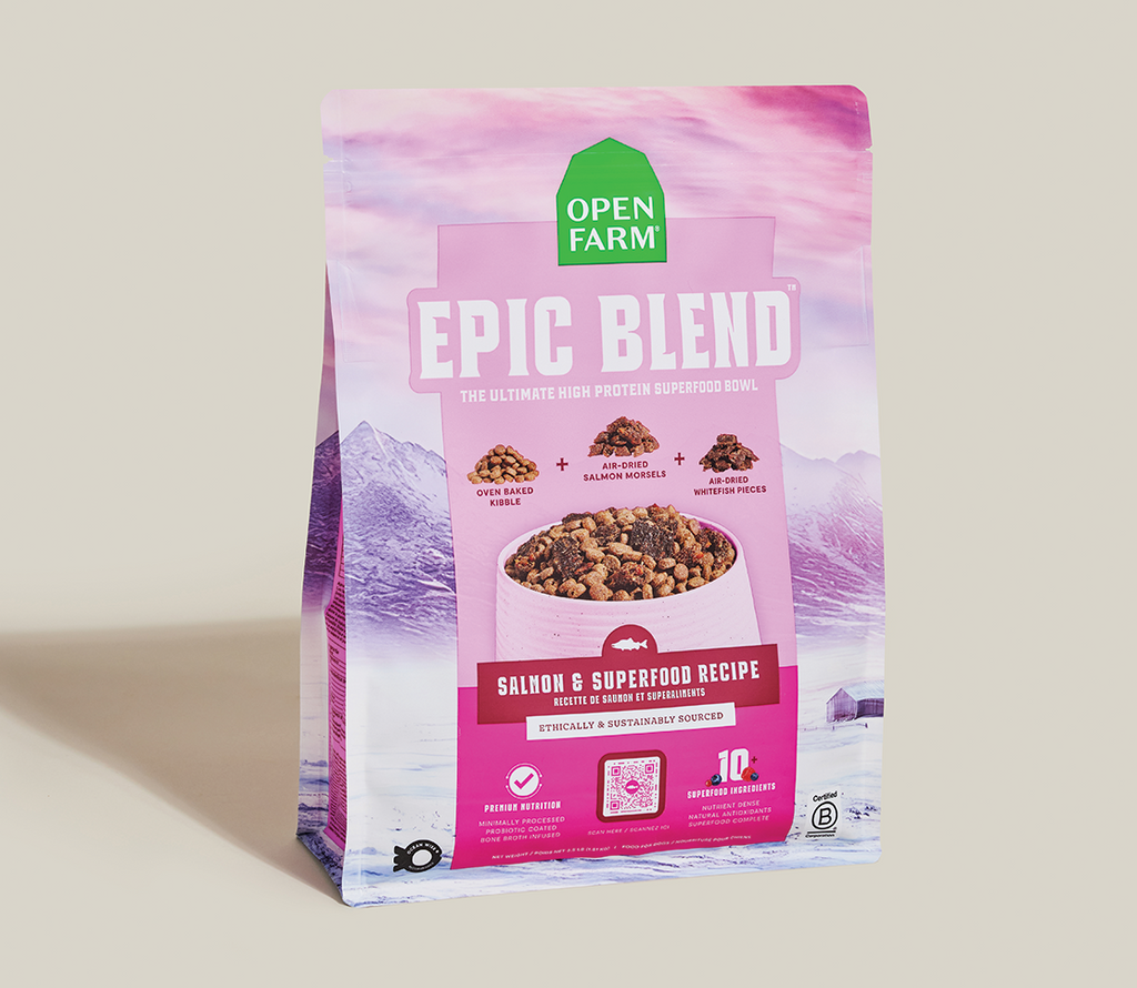Salmon & Superfood High-Protein Dry Dog Food – Probiotic Kibble Blend