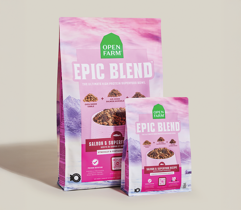 Salmon & Superfood High-Protein Dry Dog Food – Probiotic Kibble Blend