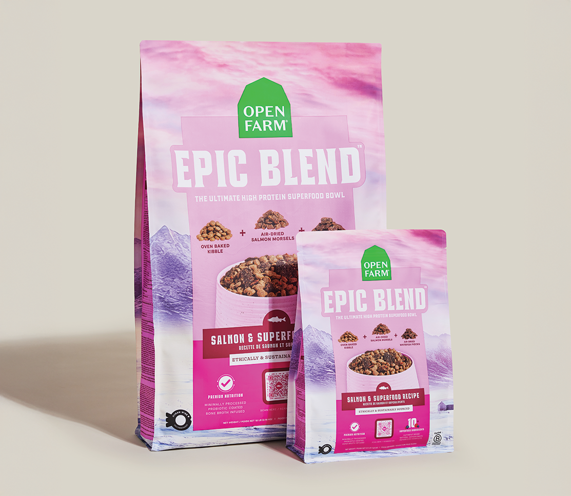 Salmon & Superfood High-Protein Dry Dog Food – Probiotic Kibble Blend