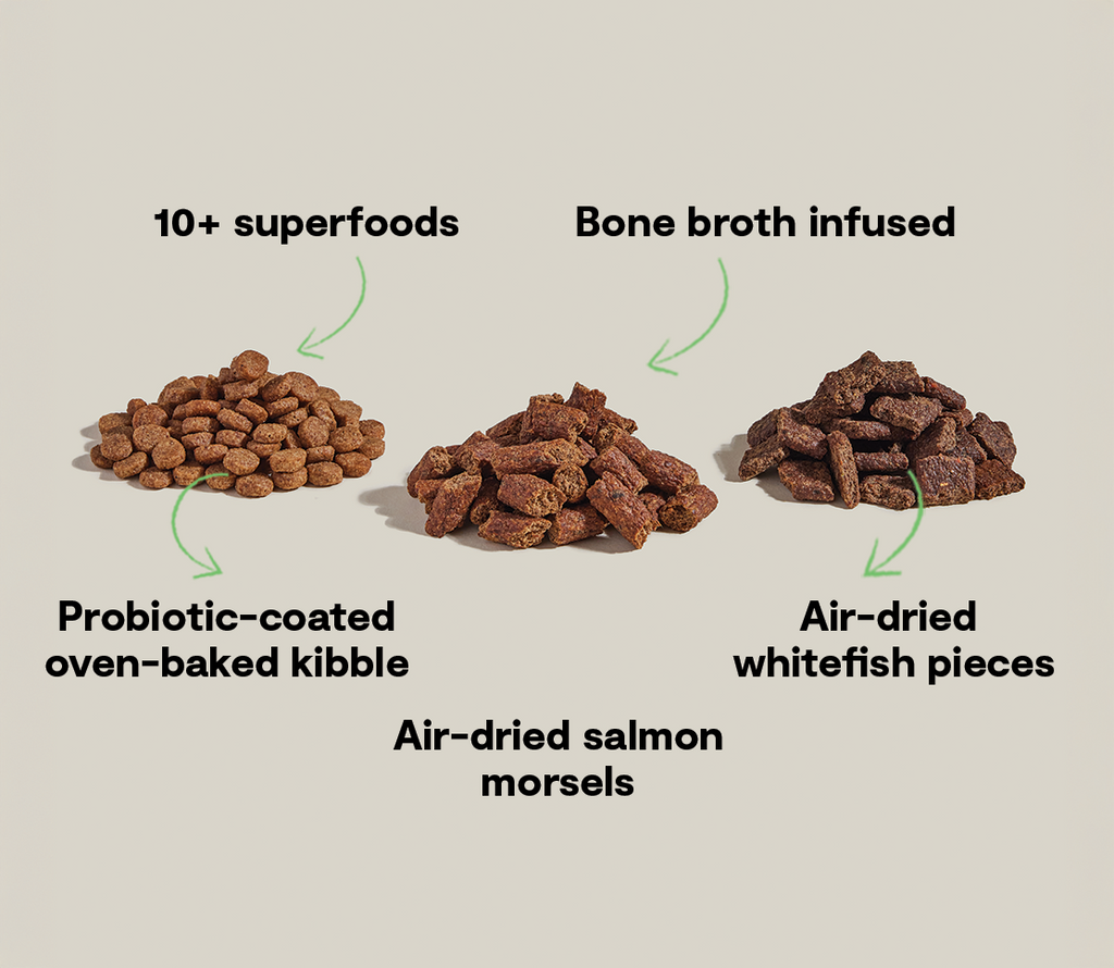 Salmon & Superfood High-Protein Dry Dog Food – Probiotic Kibble Blend