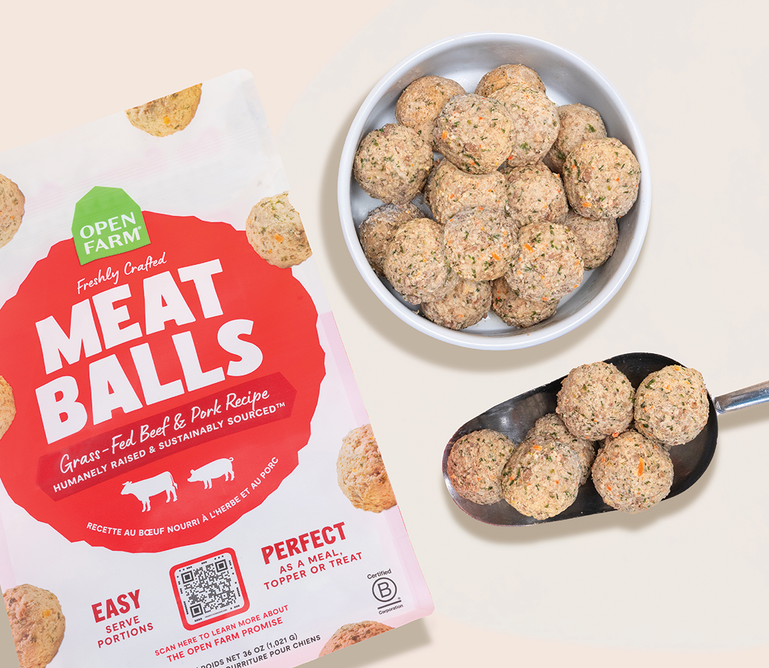 Grass-Fed Beef & Pork Gently Cooked Meatballs – Frozen Dog Food, Human-Grade