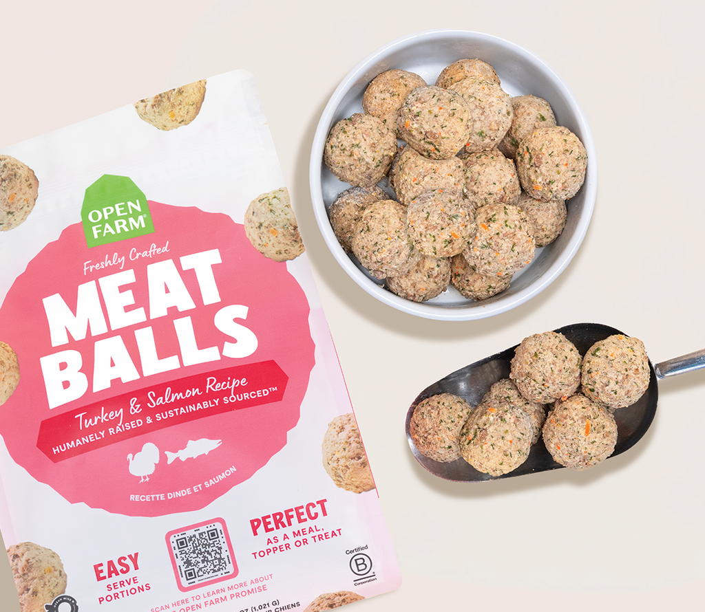 Gently Cooked Turkey & Salmon Meatballs – Frozen Human-Grade Dog Food