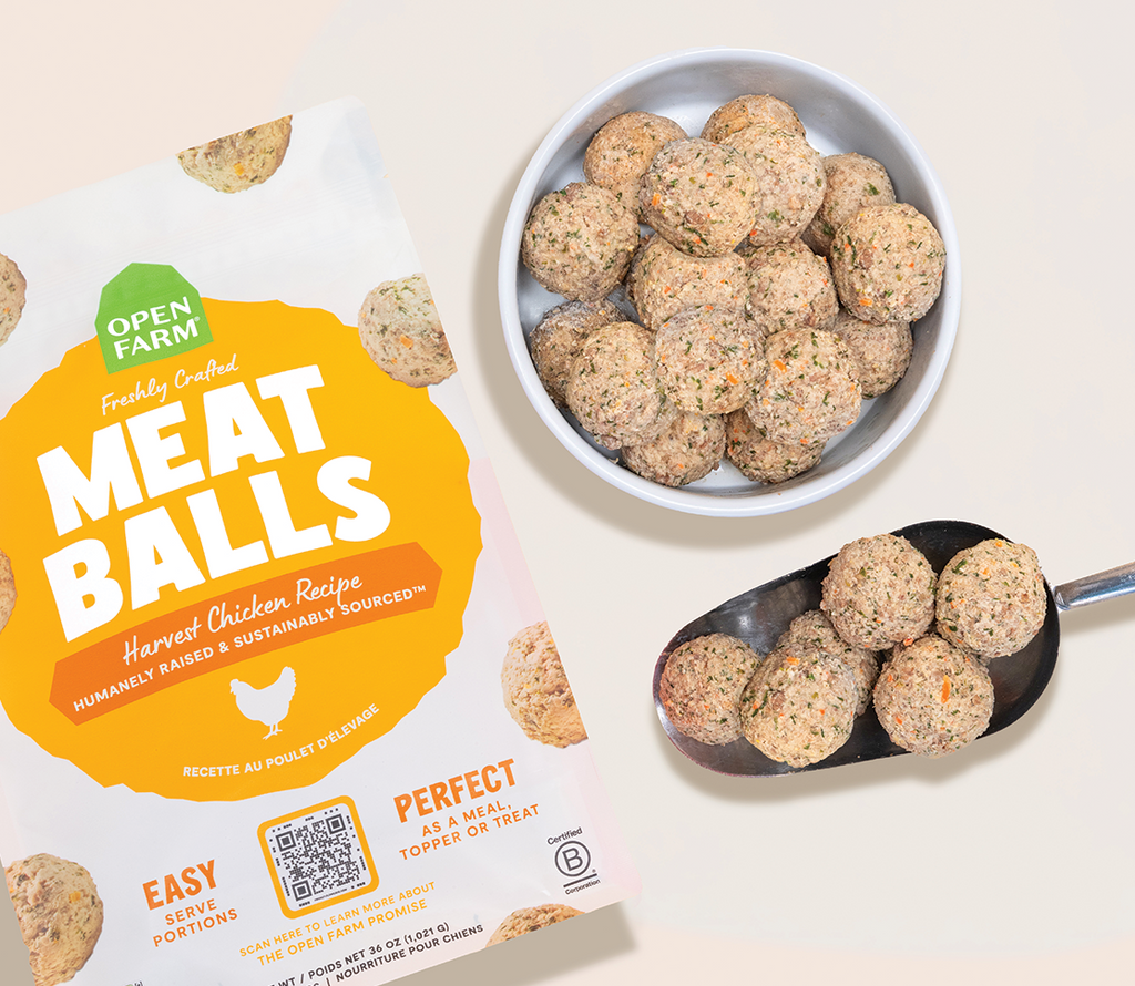 Human-Grade Harvest Chicken Freshly Cooked Frozen Dog Meatballs