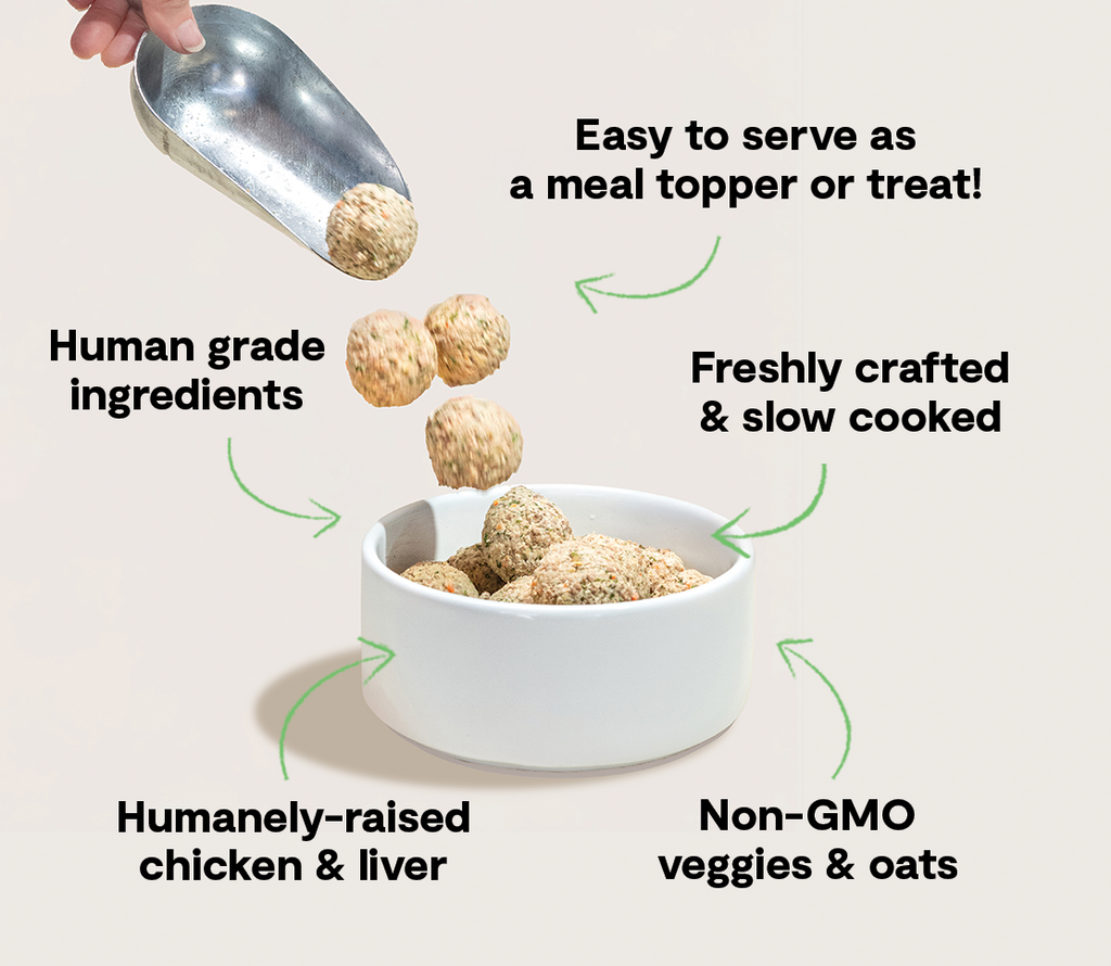 Human-Grade Harvest Chicken Freshly Cooked Frozen Dog Meatballs