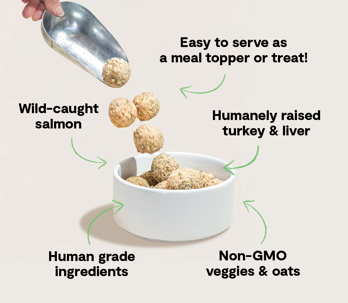 Human-Grade Turkey & Ocean Wise Salmon Frozen Fresh Dog Meatballs