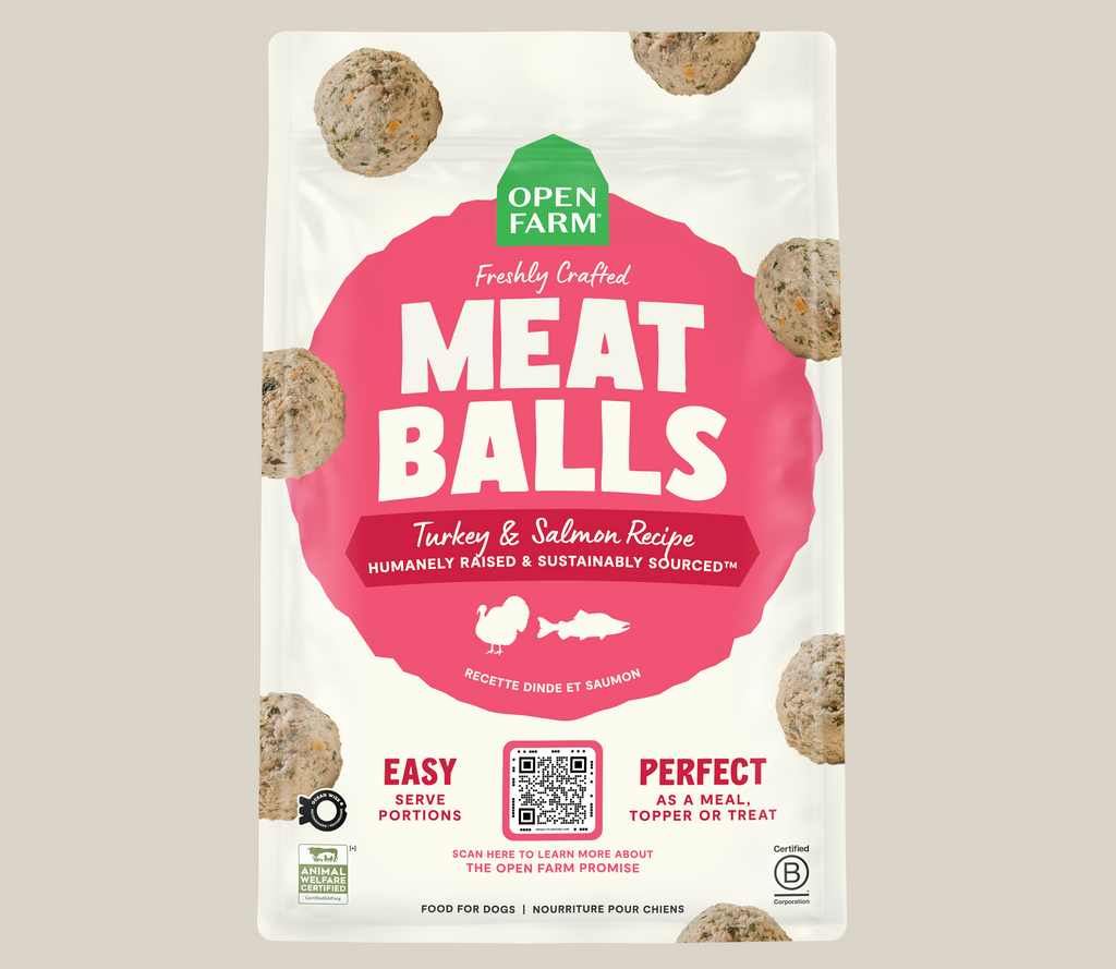 Human-Grade Turkey & Ocean Wise Salmon Frozen Fresh Dog Meatballs