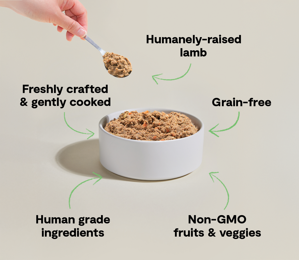 Pasture-Raised Lamb Gently Cooked Frozen Dog Food - Human-Grade Fresh Recipe