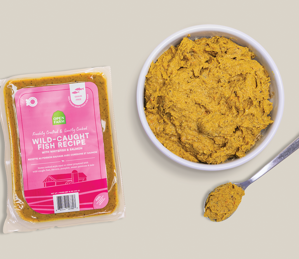 Wild-Caught Fish Gently Cooked Frozen Dog Food – Ocean Wise Human-Grade
