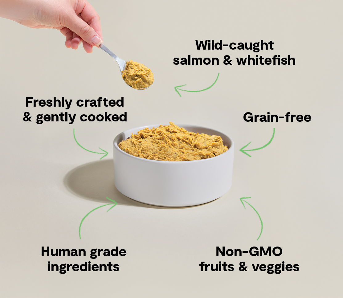 Wild-Caught Fish Gently Cooked Frozen Dog Food – Ocean Wise Human-Grade