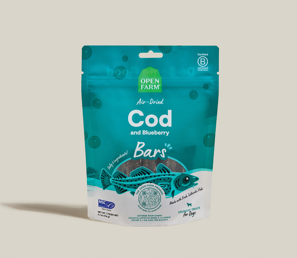 Two-Ingredient Air-Dried Cod & Blueberry Dog Treat Bars – Omega-3