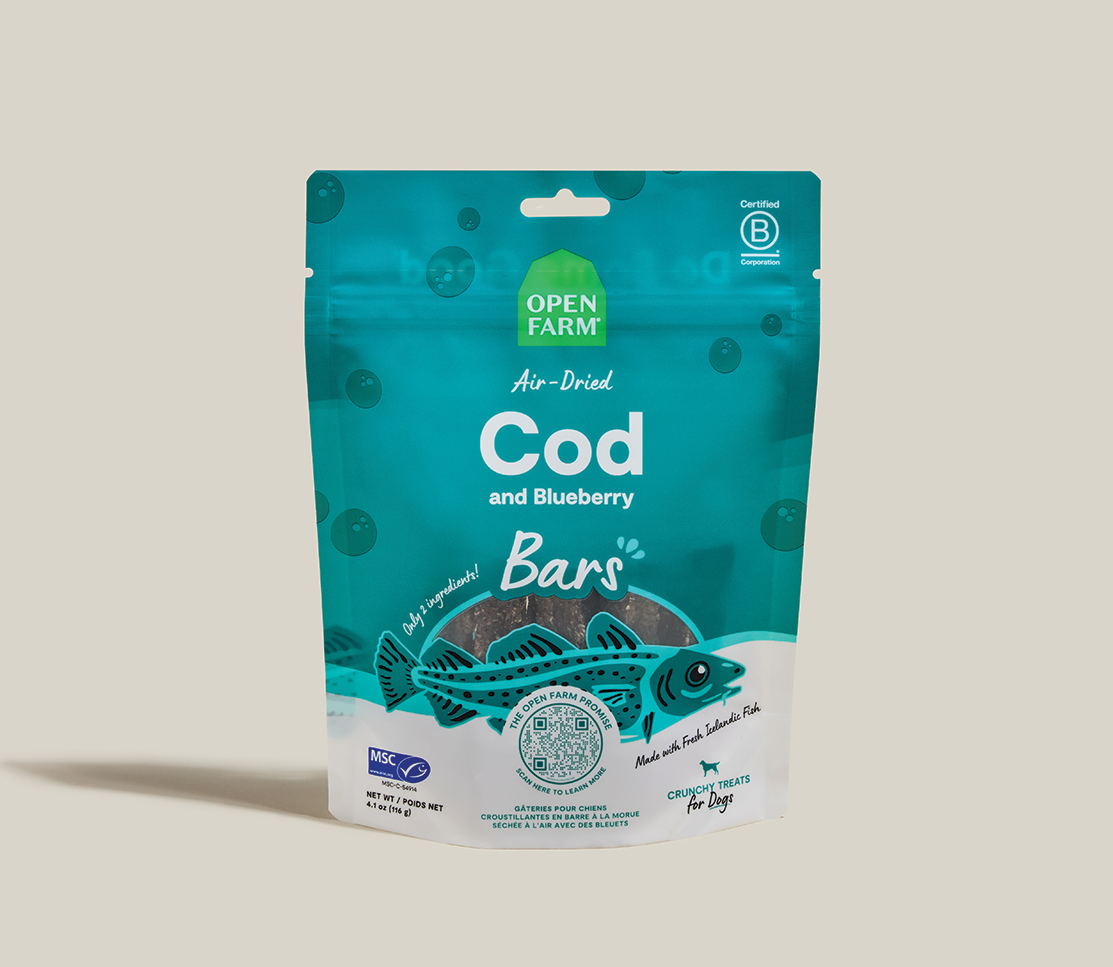 Two-Ingredient Air-Dried Cod & Blueberry Dog Treat Bars – Omega-3