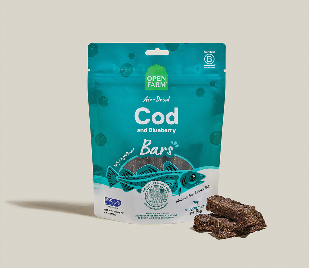 Two-Ingredient Air-Dried Cod & Blueberry Dog Treat Bars – Omega-3