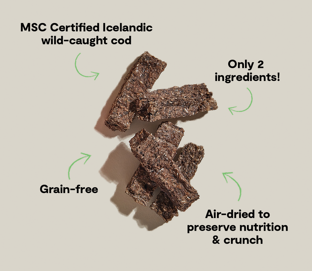 Two-Ingredient Air-Dried Cod & Blueberry Dog Treat Bars – Omega-3
