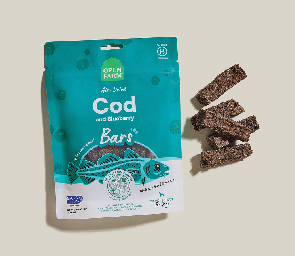 Two-Ingredient Air-Dried Cod & Blueberry Dog Treat Bars – Omega-3