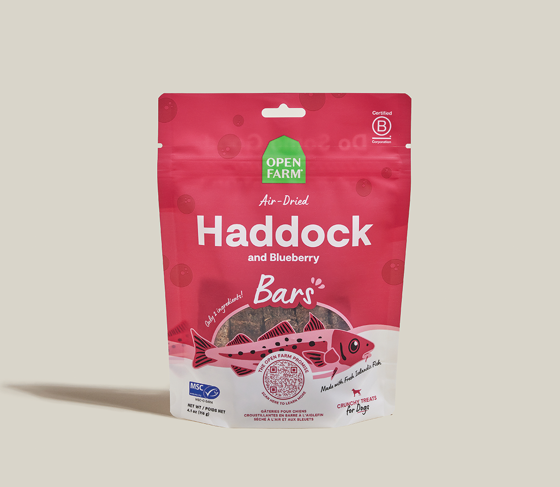 Air-Dried Haddock & Blueberry Dog Treat Bars - MSC Wild-Caught, 2 Ingredients