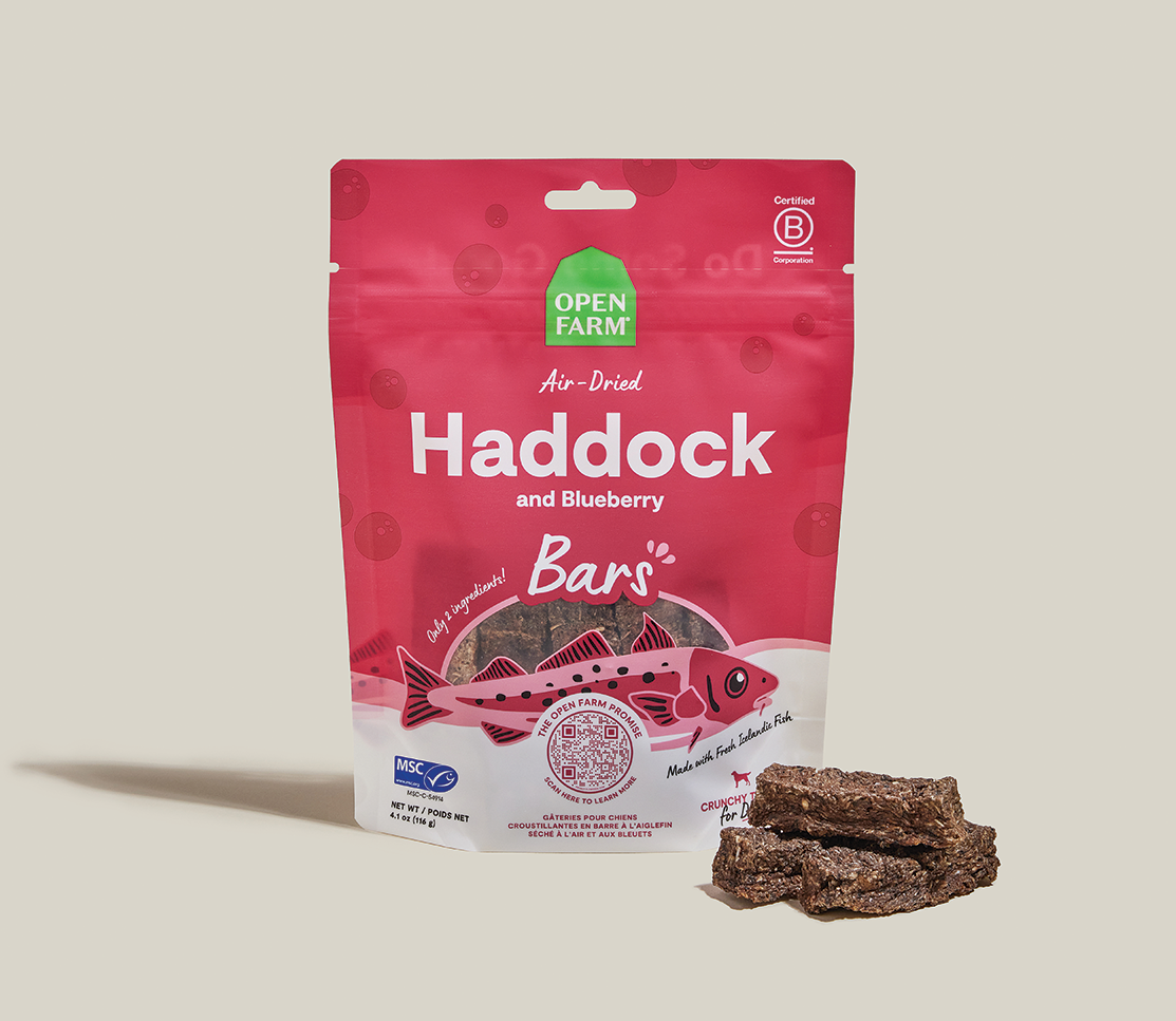 Air-Dried Haddock & Blueberry Dog Treat Bars - MSC Wild-Caught, 2 Ingredients