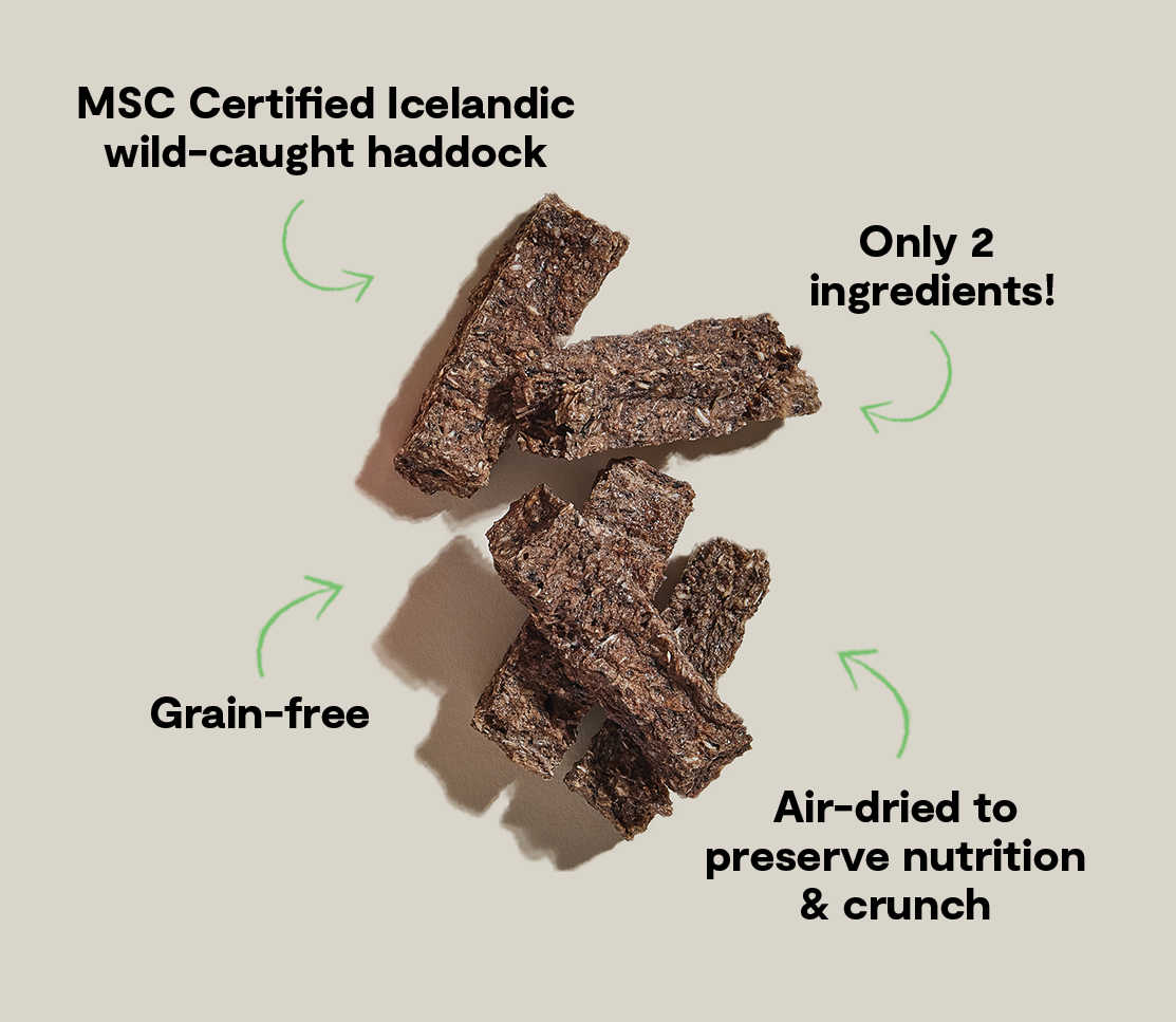Air-Dried Haddock & Blueberry Dog Treat Bars - MSC Wild-Caught, 2 Ingredients