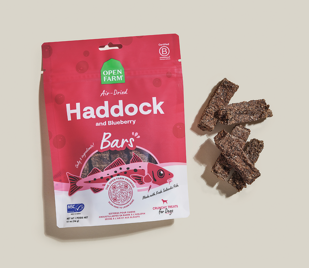 Air-Dried Haddock & Blueberry Dog Treat Bars - MSC Wild-Caught, 2 Ingredients