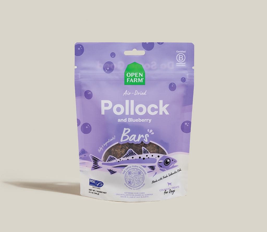 Air-Dried Pollock & Blueberry Dog Treat Bars – 2-Ingredient, Omega-3 Rich