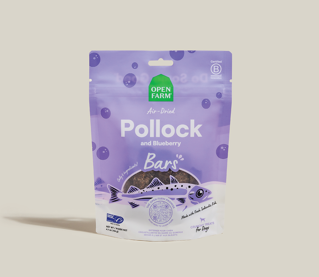 Air-Dried Pollock & Blueberry Dog Treat Bars – 2-Ingredient, Omega-3 Rich
