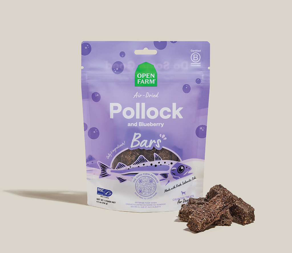 Air-Dried Pollock & Blueberry Dog Treat Bars – 2-Ingredient, Omega-3 Rich