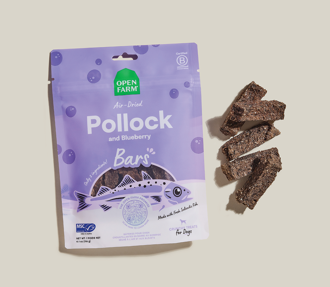 Air-Dried Pollock & Blueberry Dog Treat Bars – 2-Ingredient, Omega-3 Rich