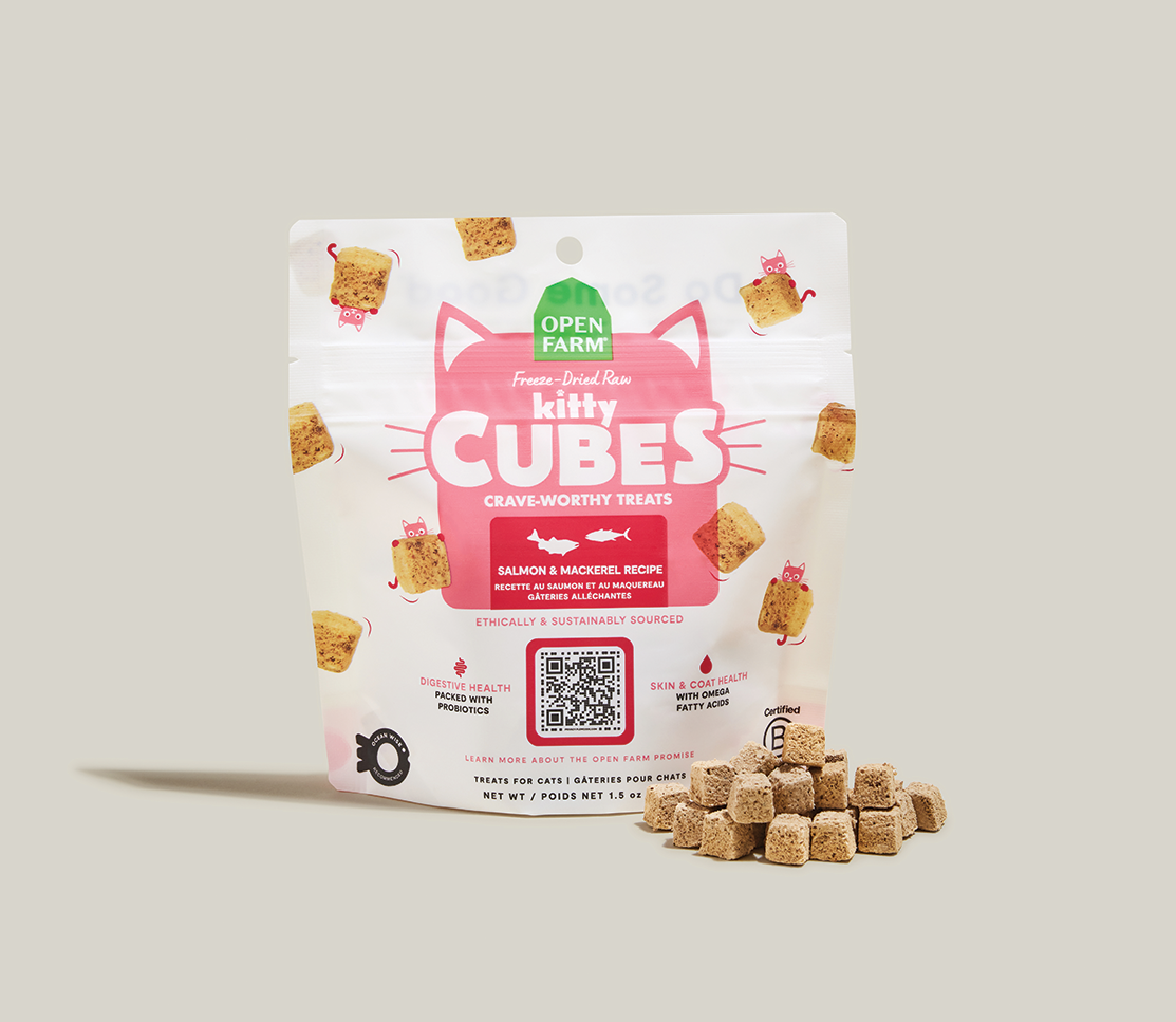 Wild Salmon & Mackerel Freeze-Dried Kitty Cubes – Raw Cat Treats