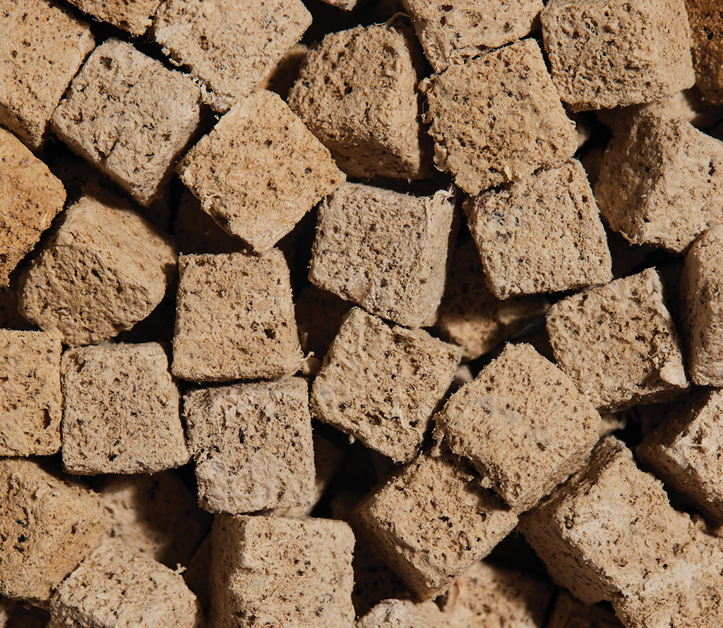 Wild Salmon & Mackerel Freeze-Dried Kitty Cubes – Raw Cat Treats