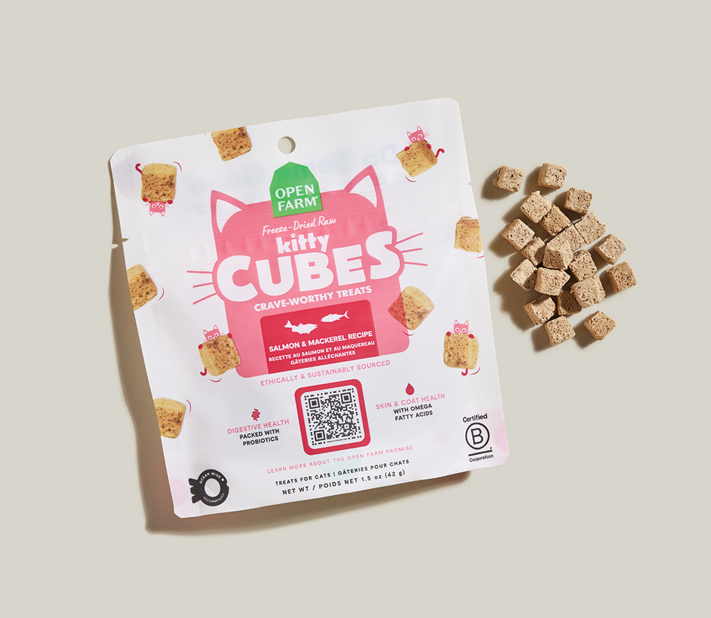 Wild Salmon & Mackerel Freeze-Dried Kitty Cubes – Raw Cat Treats