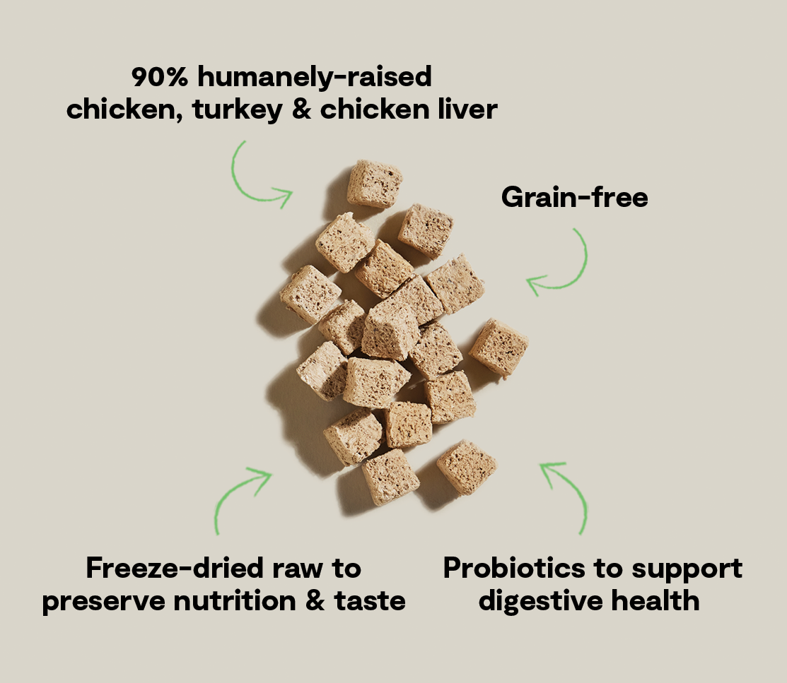 Freeze-Dried Chicken & Turkey Kitty Cubes – Grain-Free Raw Cat Treats