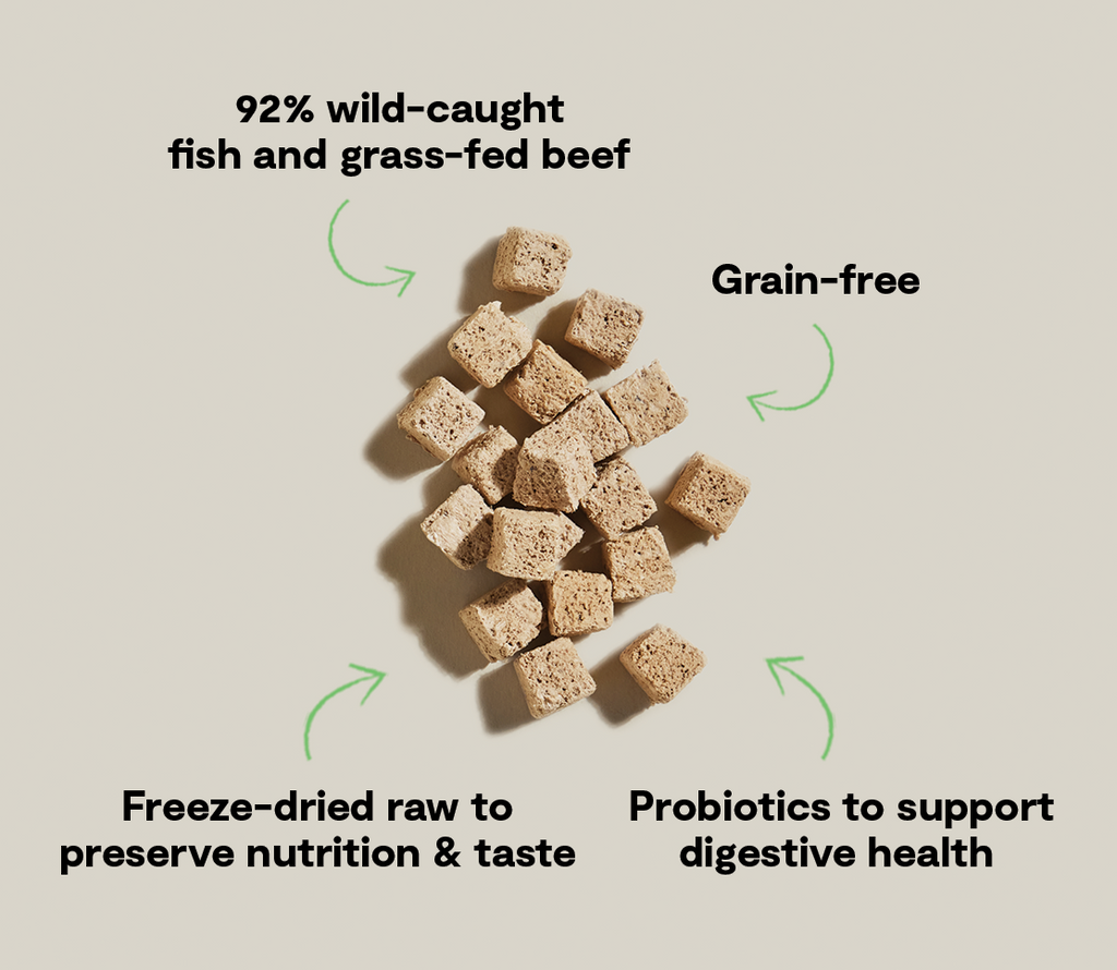 Freeze-Dried Raw Surf & Turf Cat Treat Cubes - Fish & Beef Skin & Coat Bites