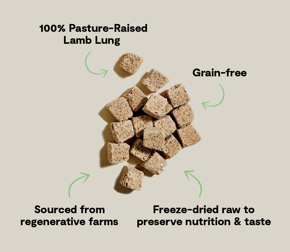 Regenerative Grassland Lamb Lung Freeze-Dried Raw Dog Treat Cubes