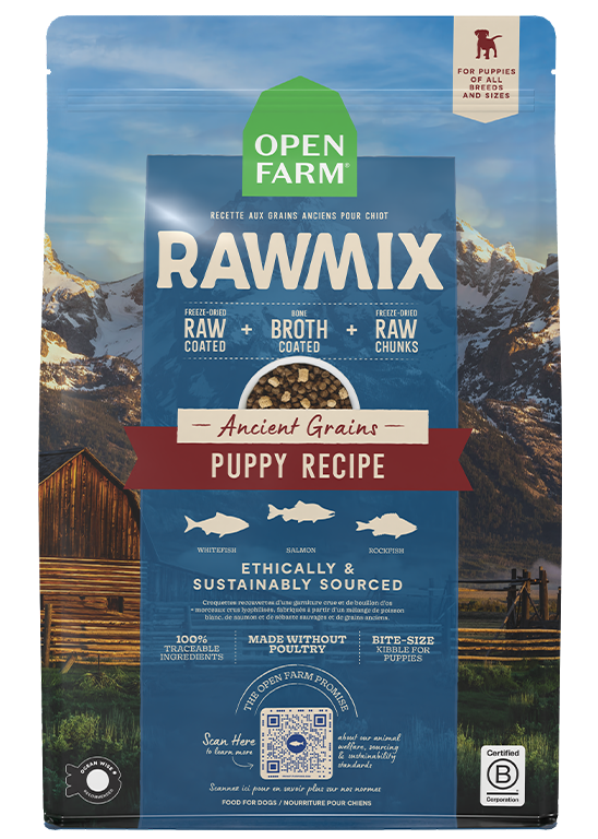 Fish & Ancient-Grain Puppy RawMix Kibble – DHA Freeze-Dried Poultry-Free