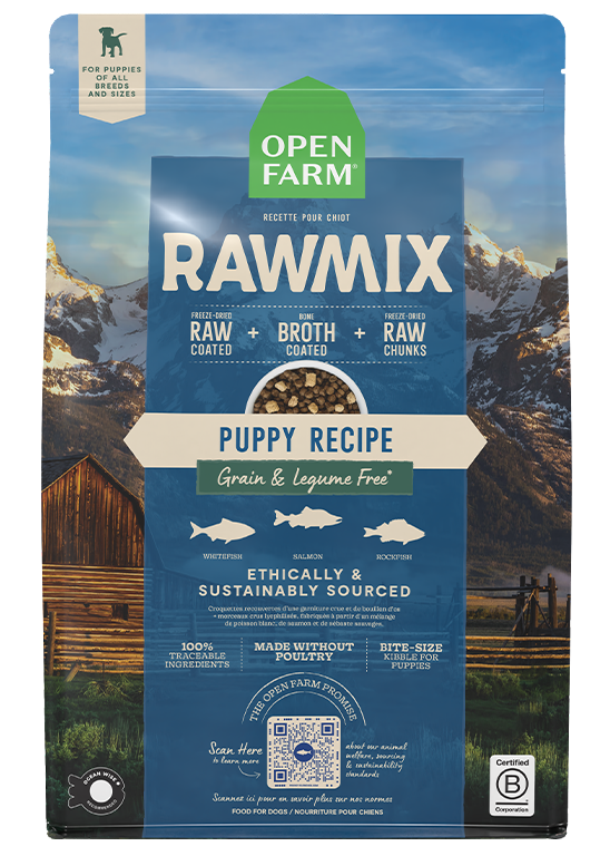 Wild-Caught Fish Grain-Free Puppy Kibble – Freeze-Dried Coated, DHA-Rich
