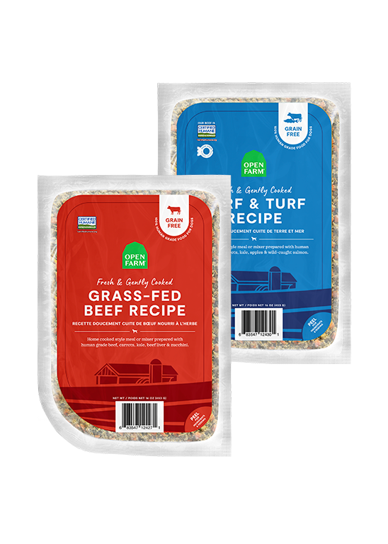 Grass-Fed Beef & Salmon Gently Cooked Frozen Dog Food Variety Pack