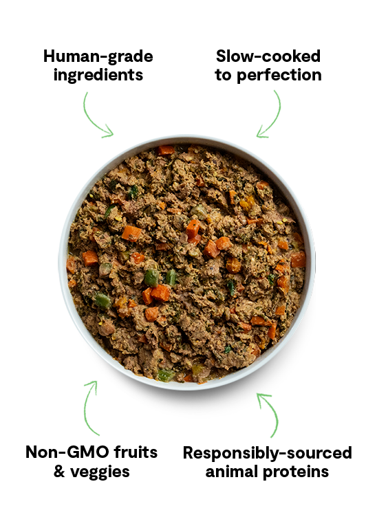 Grass-Fed Beef & Salmon Gently Cooked Frozen Dog Food Variety Pack