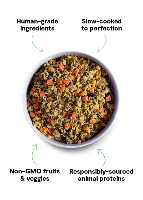 Grain-Free Chicken & Turkey Gently Cooked Frozen Dog Food Variety Pack